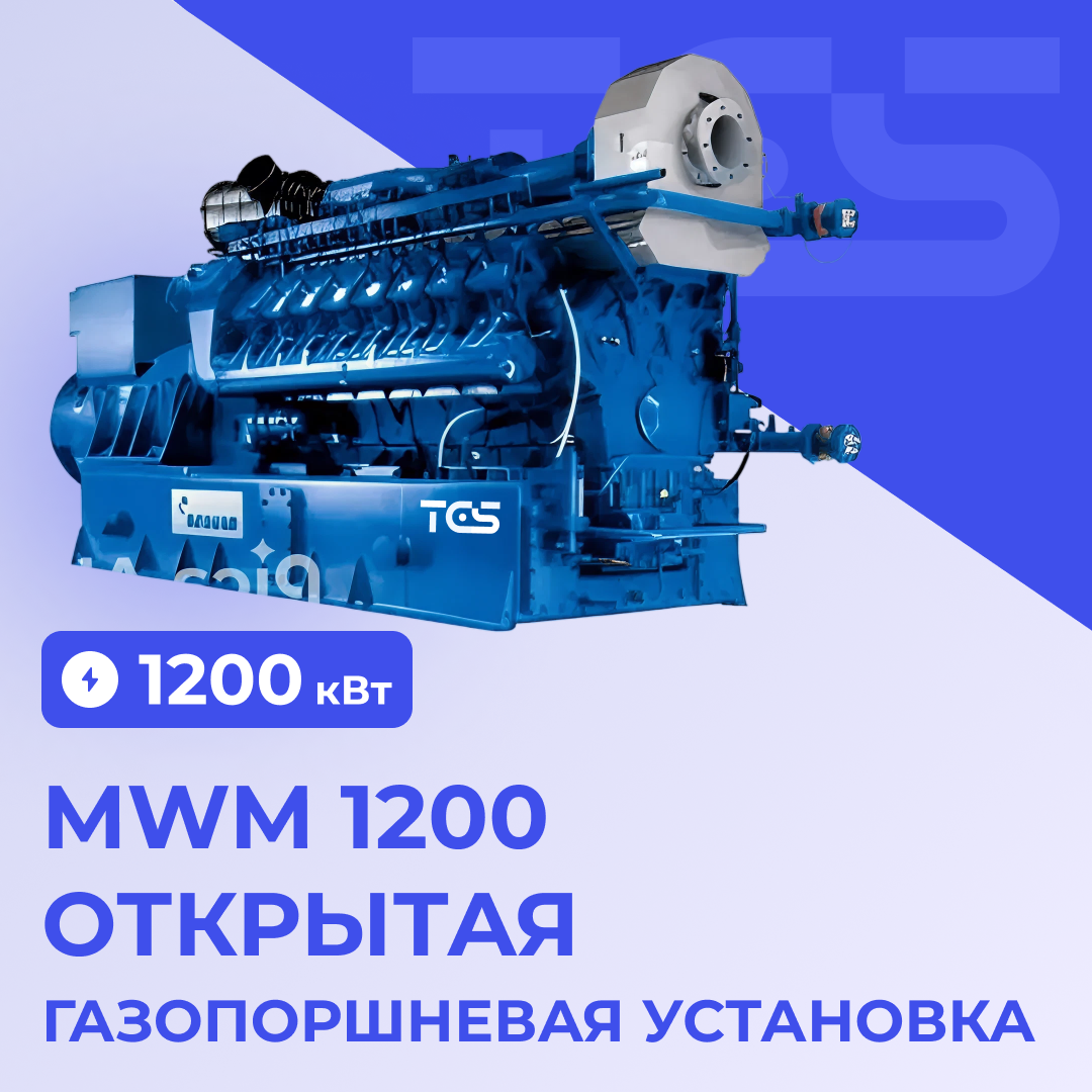 ГПУ MWM 1200 открытая TCG 2020 V12